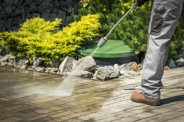 Best Playground Equipment Cleaning  in Greenville, MI