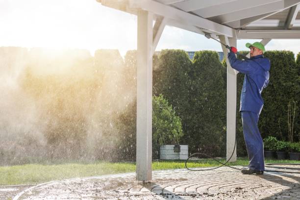 Best Patio and Deck Pressure Washing  in Greenville, MI