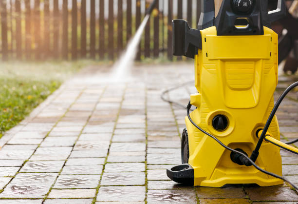 Best Spring Cleaning  in Greenville, MI